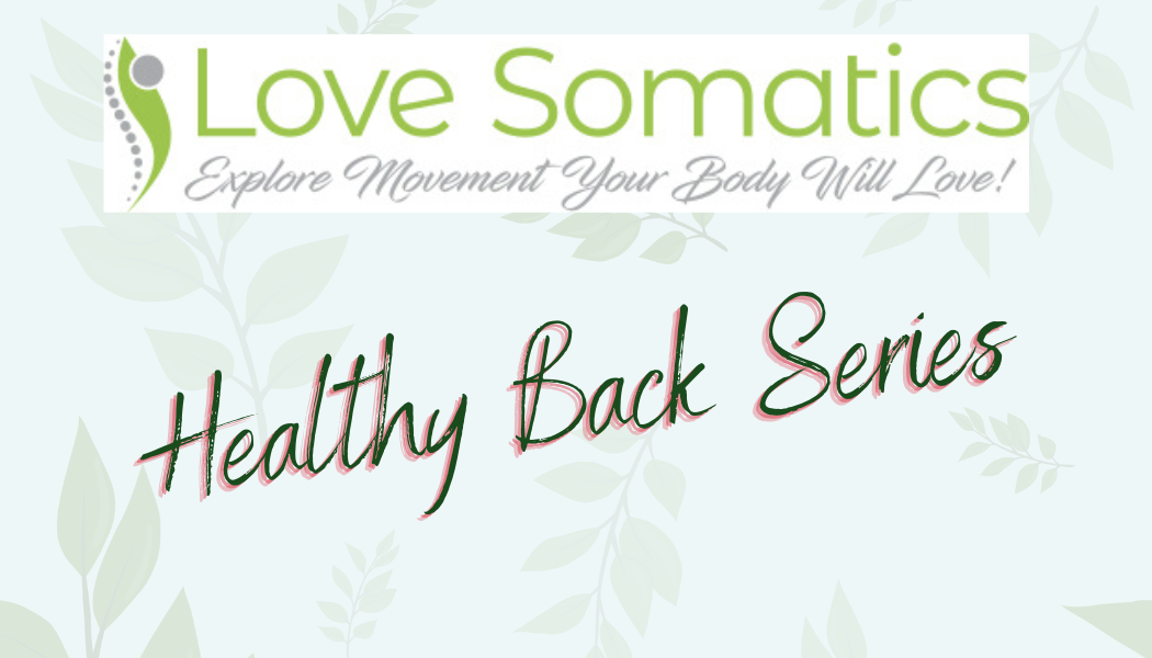 HEALTHY_BACK_SERIES